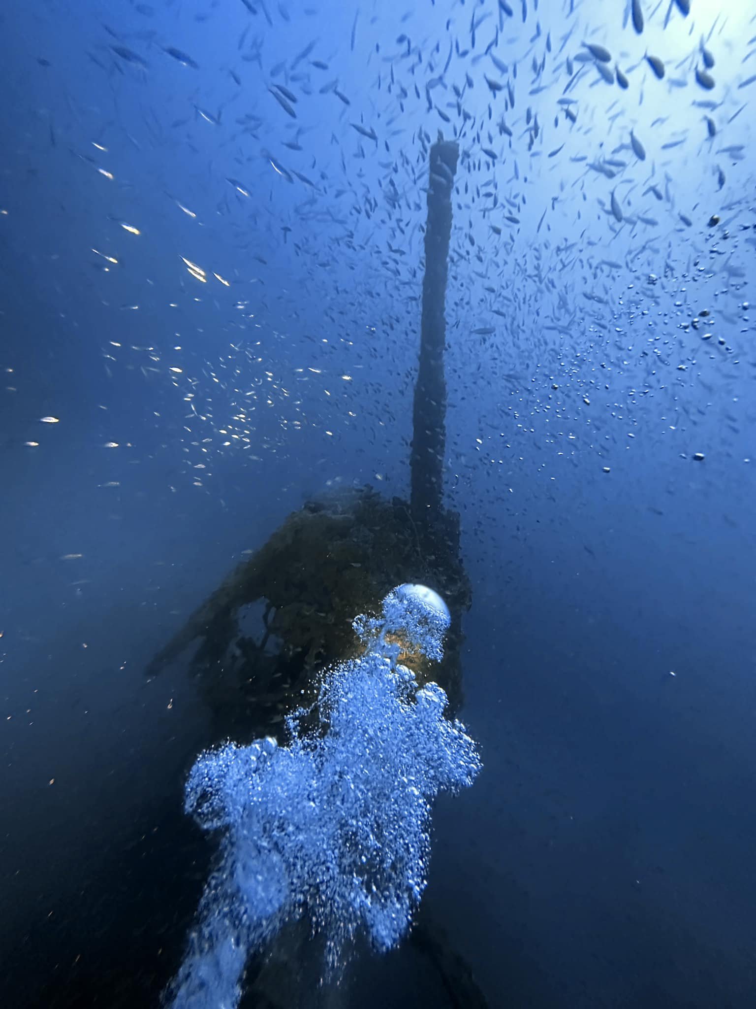 Epave Méditerranée Bananier Epave Méditerranée Bananier