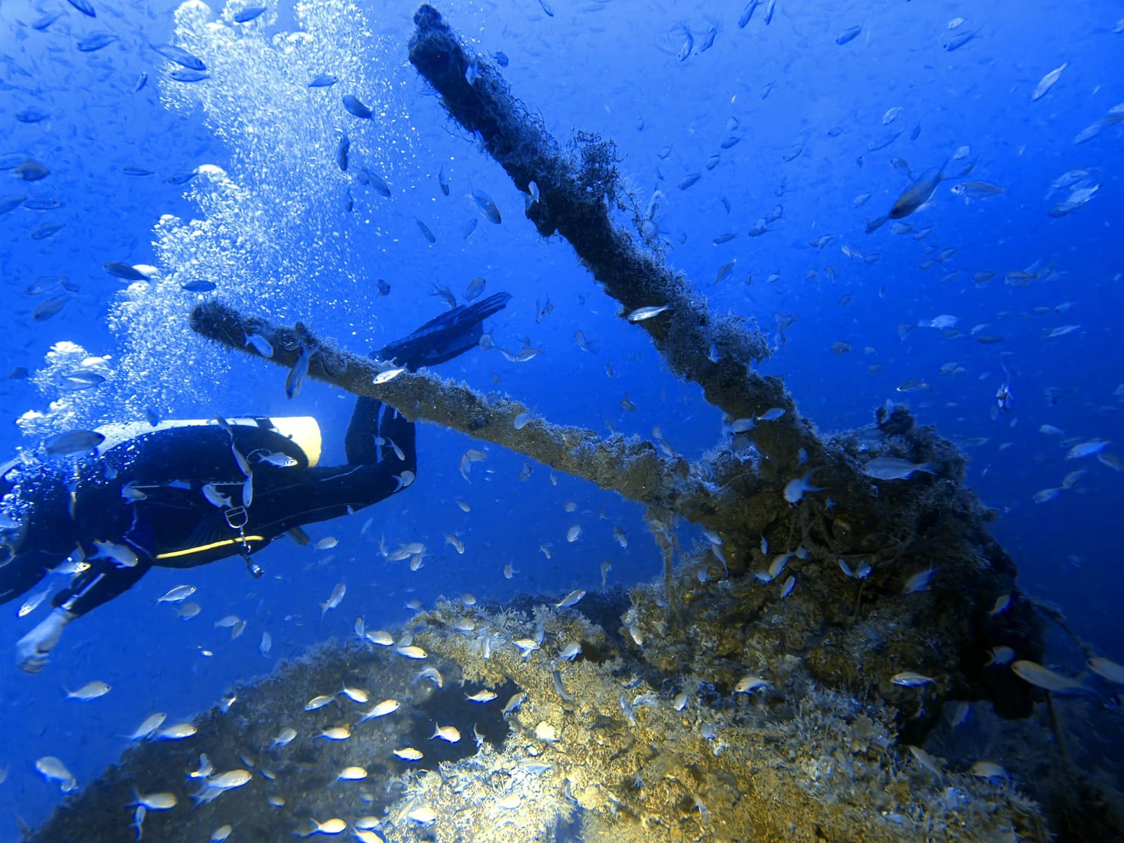 Epave Méditerranée Bananier Epave Méditerranée Bananier